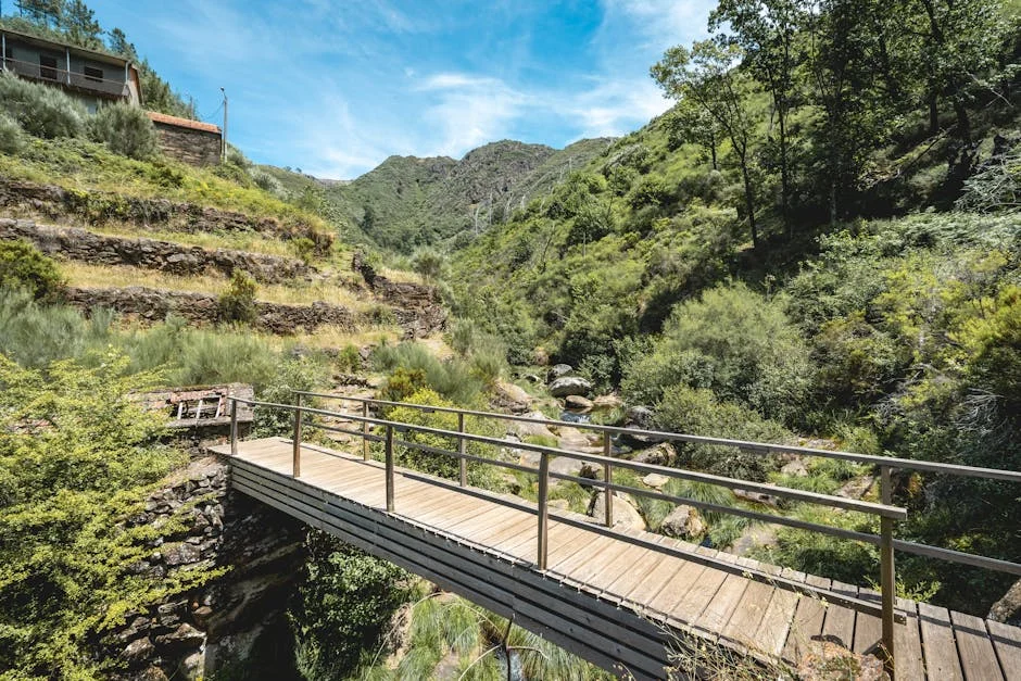 Mourinho Puts Faith in Lukebakio as Benfica Makes Four Changes Against Arouca — Economy Business