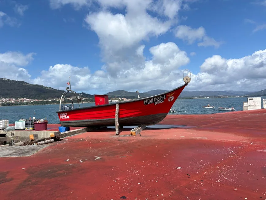 Mourinho Unveils Uncertain Future at Benfica Amid Sporting Rivalry — Economy Business