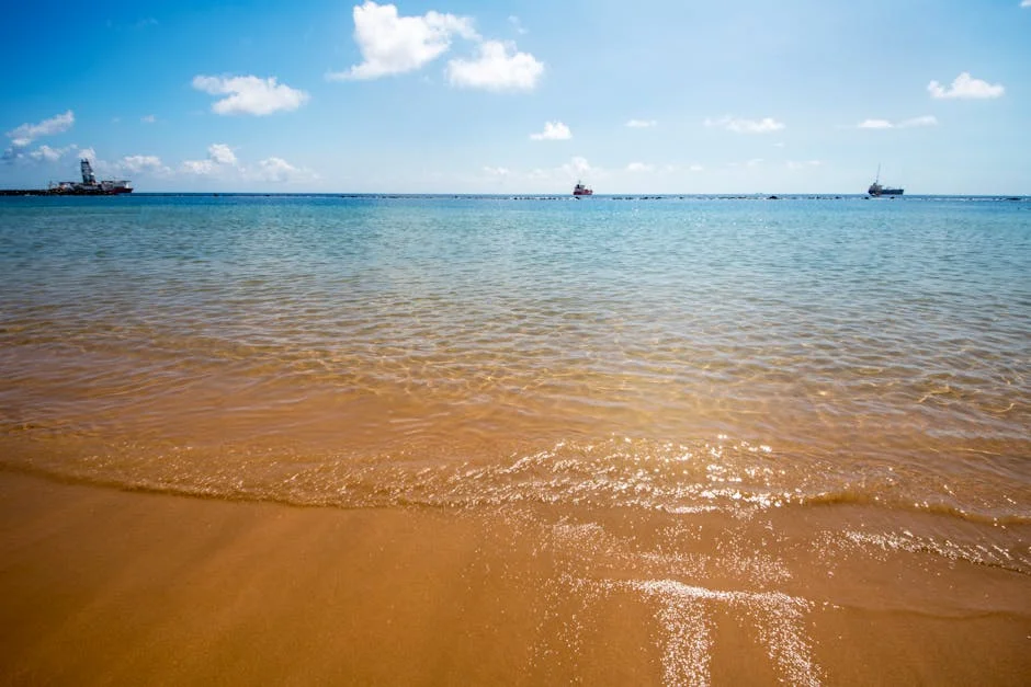 Mozambique Launches Fuel Crisis Measures — Prices Soar in Maputo — Economy Business