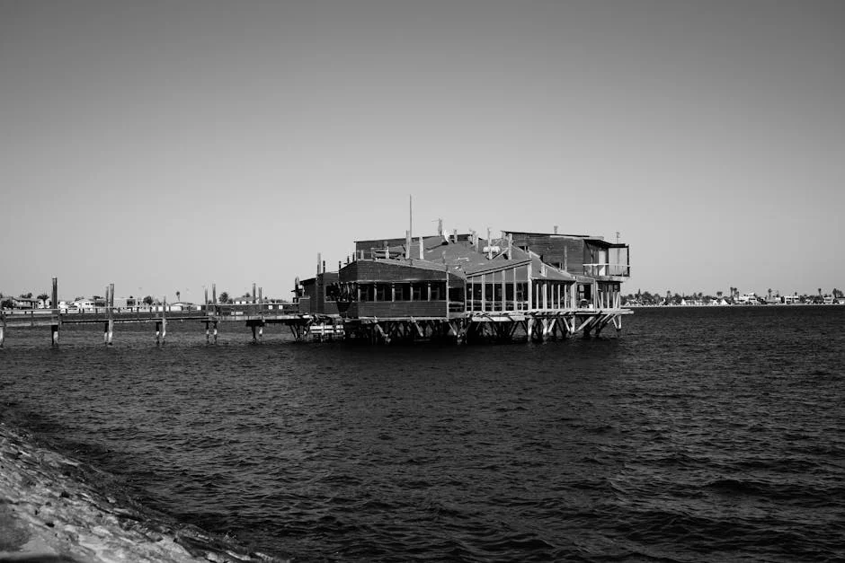 Namibia's Green Energy Dream Could Spell Trouble for Local Penguins - What It Means for Southern Africa — Environment Nature