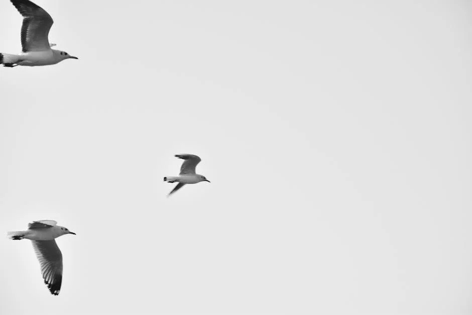 Navi Mumbai School's Ceiling Collapse Claims Student's Life: What It Means for Safety Standards — Economy Business