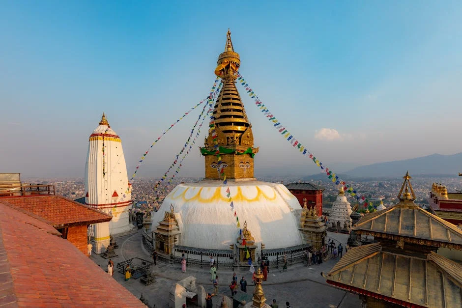 Nepal Halts UAE Tour Plans Over Scheduling Conflicts — Economy Business