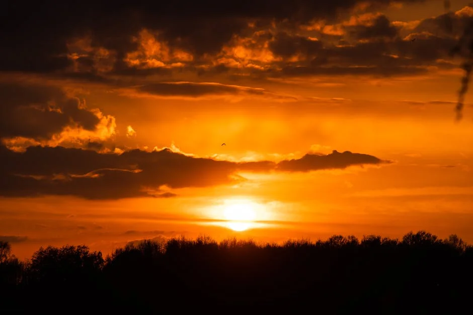 Nepal's Youth Drives Historic Election Turnout: What It Means for Africa — Politics Governance