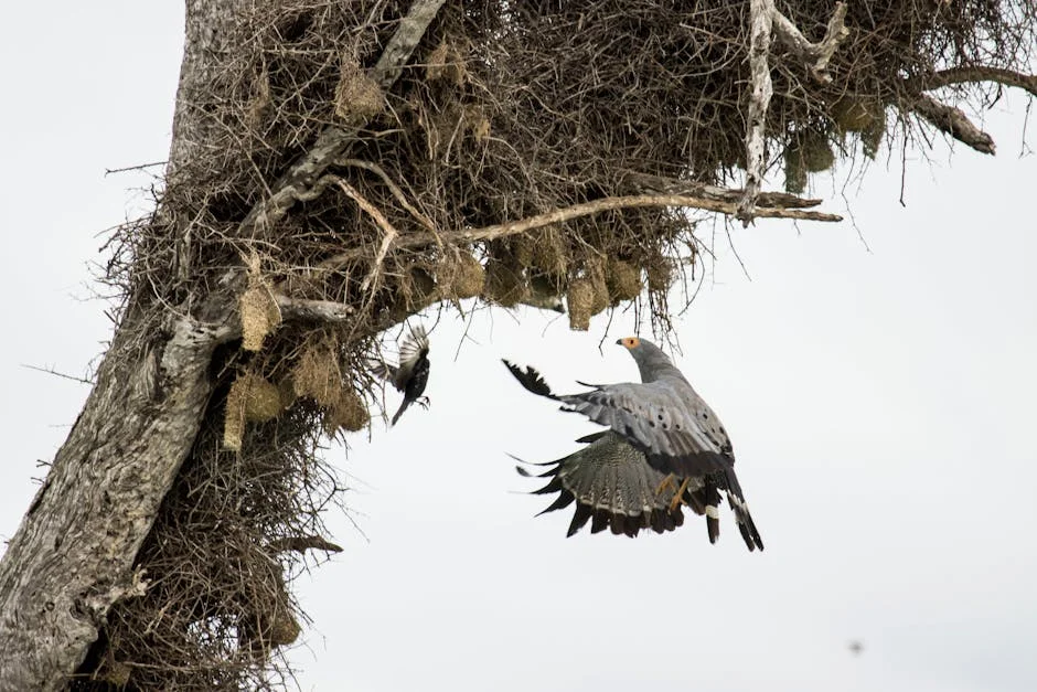 Neste Unveils New Housing Package: Will It Solve South Africa's Housing Crisis? — Economy Business