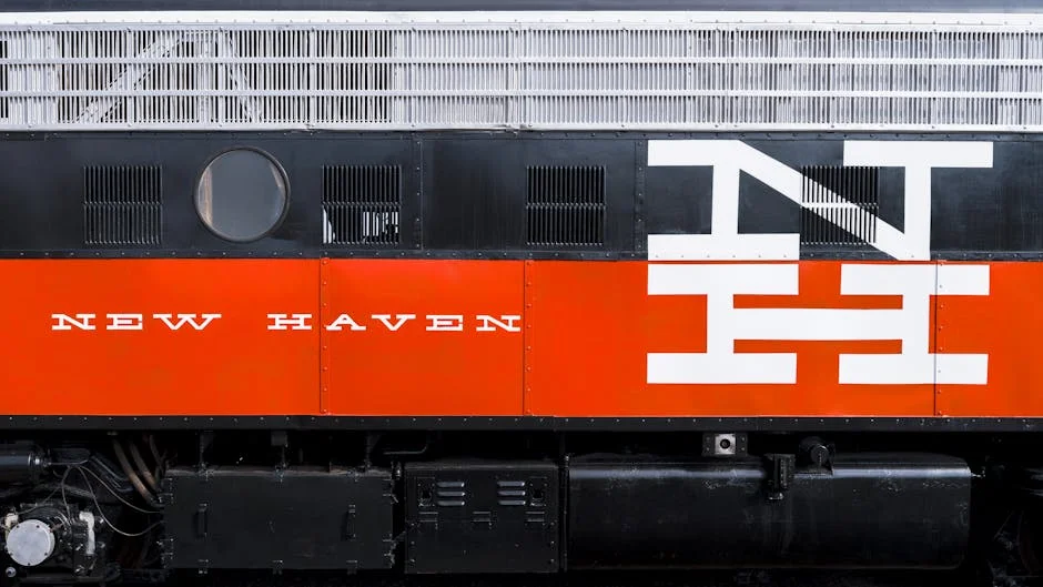 New museum of modern art opens in the city center