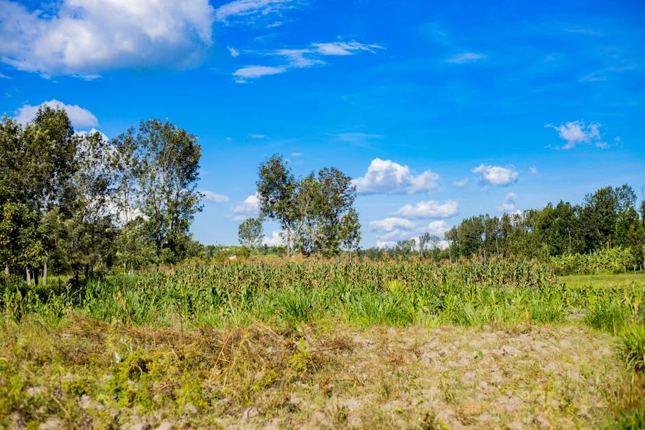 NFP Convicts Mbali Shinga for Defiance — Implications for South African Governance — Economy Business