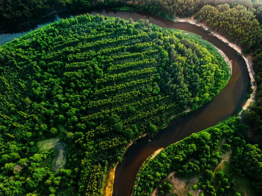 Nigeria Relocates Great Green Wall HQ to Kano — Desert Fight Moves North — Politics Governance