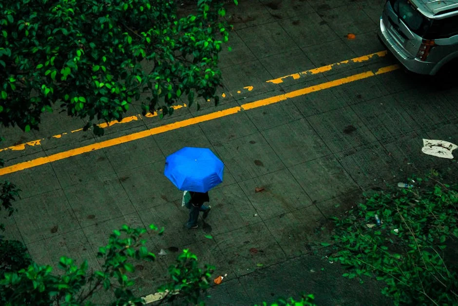 North West Rains Trigger Assessment — Economic Ripples Feared — Economy Business