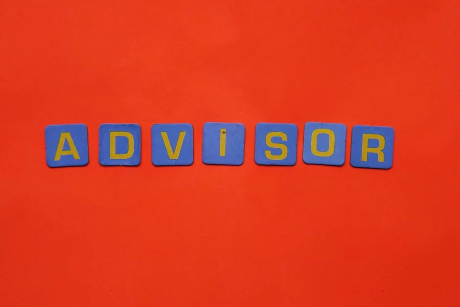 Observador Reveals South Africa's Economic Struggles — and the Cost to Development