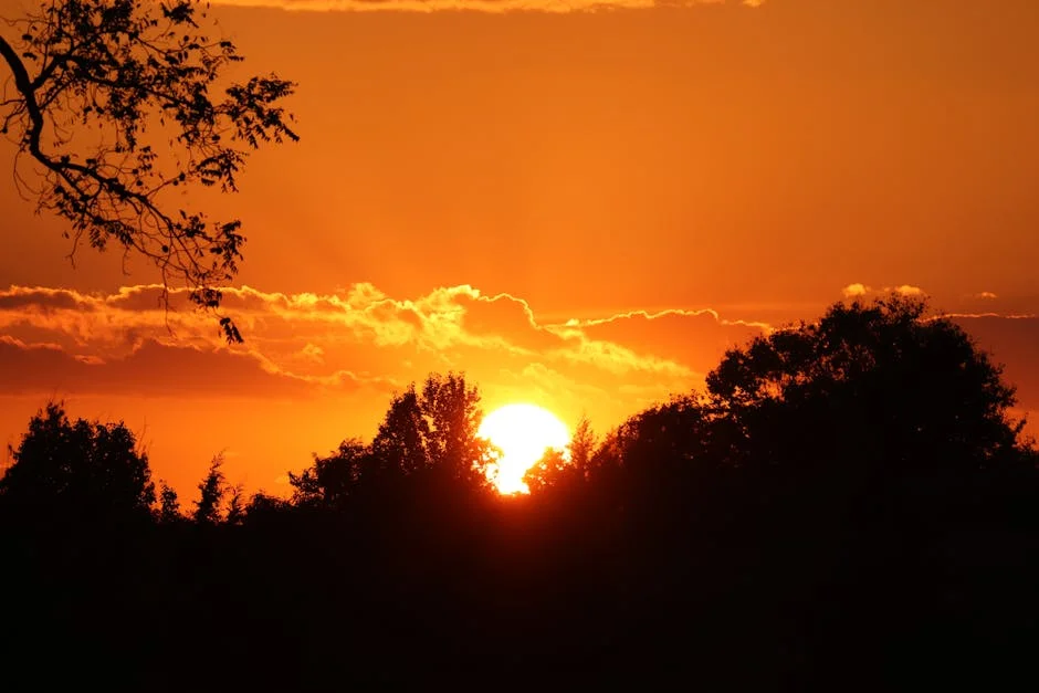 Oklahoma City Thunder Prepares for Suns' Adjustments — Impact on SG Stock — Economy Business