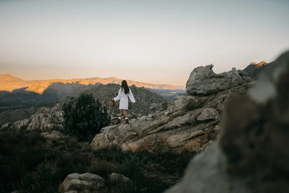 Paarl Winery Exits UK Rewilding: Market Signals Shift — Economy Business