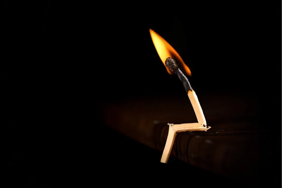 Pakistan Super League Match Sparks Market Volatility in South Africa — Culture Arts