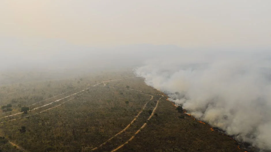 Parlamento Approves Government's Cultural Patronage Reform — What It Means for South Africa — Economy Business