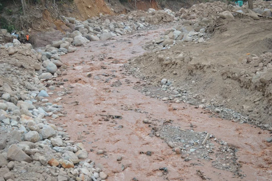 Parliament Calls for Nominations to Fill South African Human Rights Commissioner Vacancy: What This Means for Justice