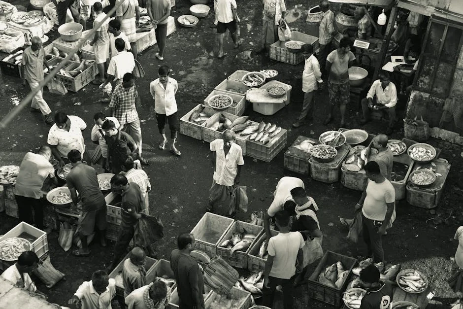 Phala Phala Ruling Triggers Market Jitters Ahead of Friday Verdict — Politics Governance
