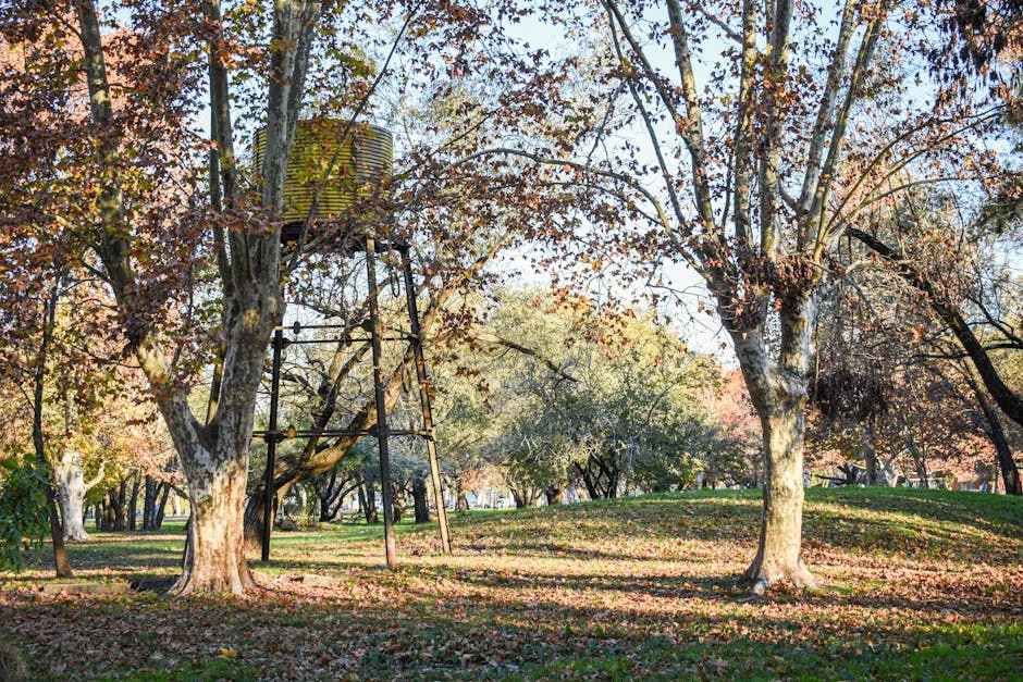 Pinto Luz Warns Against Future Disaster: Government Actively Prevents Another Entre-os-Rios Tragedy — Economy Business