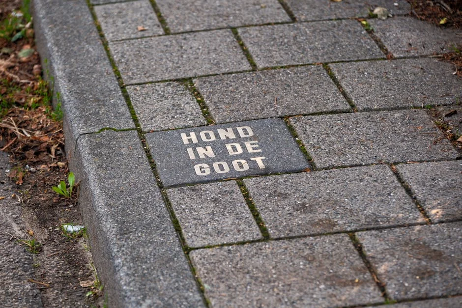 PM Modi Warns of West Asia Crisis Impact on South Africa — Politics Governance