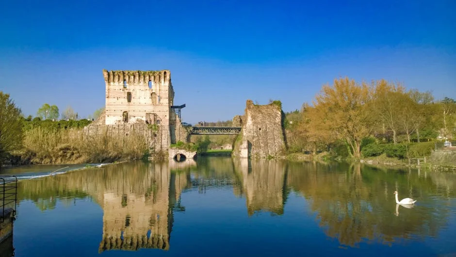 Ponte de Lima honours António Feijó: what it means for South Africa's development