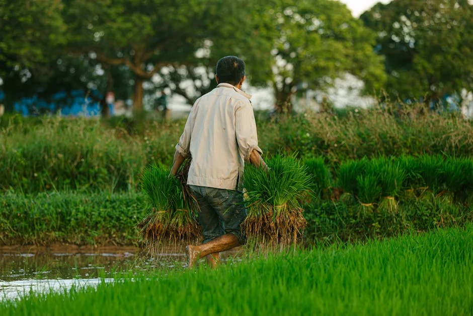 Portugal Rejects Exclusion of Retired Farmers from Income Support — Economy Business