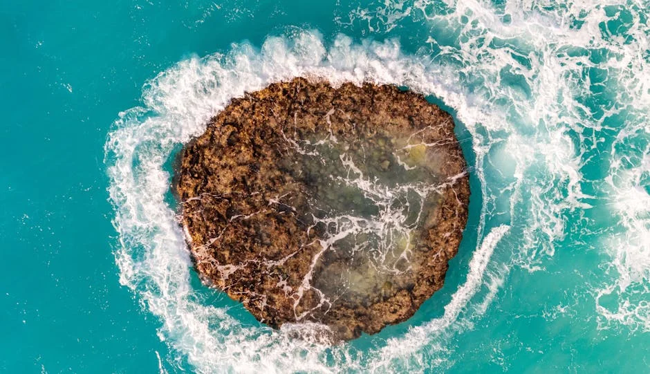 Portugal Returns $3 Million to Angola: What This Means for African Development — Economy Business