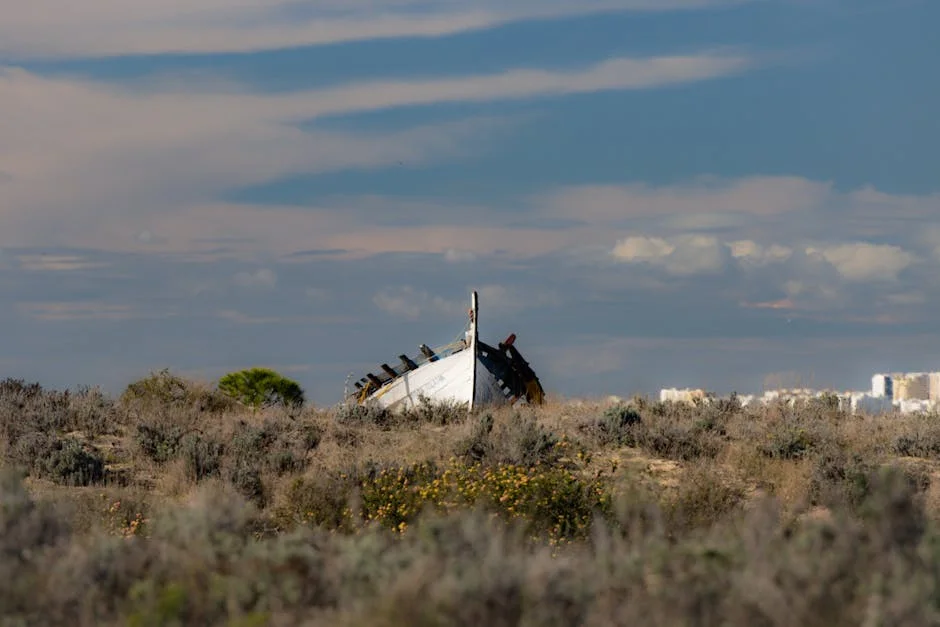 Portugal urges stronger global engagement: What it means for South Africa — Technology Innovation