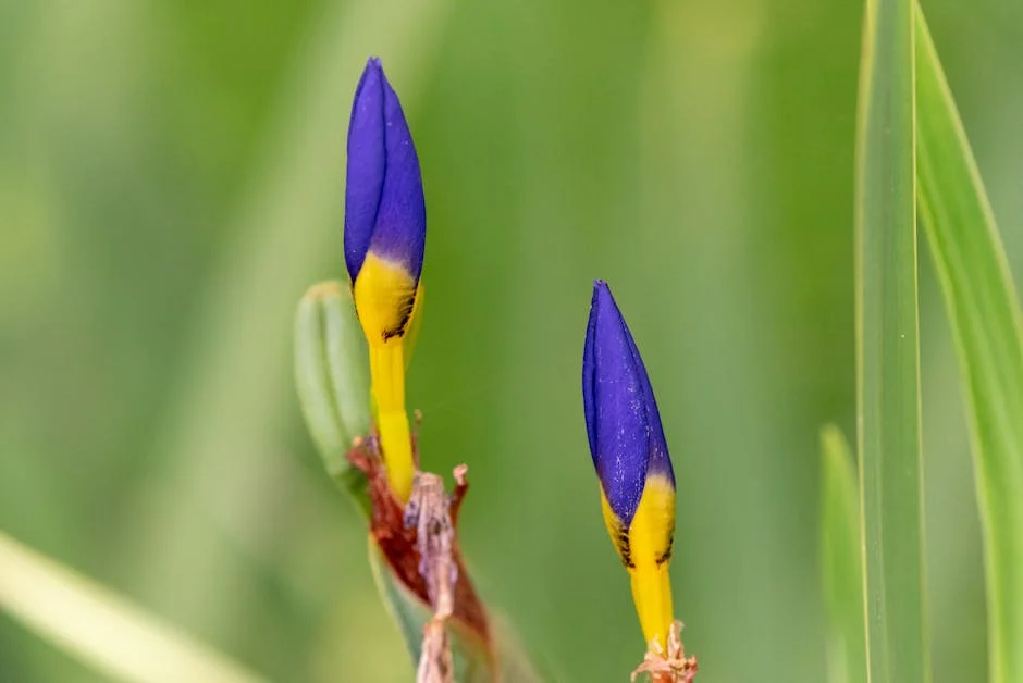 Portugal's Government Slams CAP Reform as 'Complete Nonsense' — Here’s Why It Matters