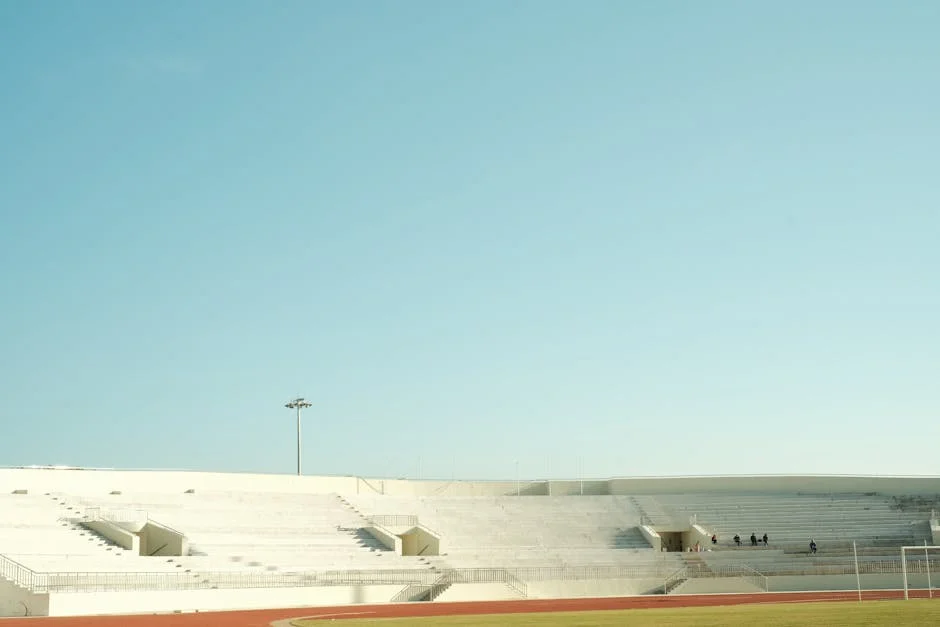 Portugal's PT Slams Sporting Fans Over Stadium Entry Ban — Economy Business