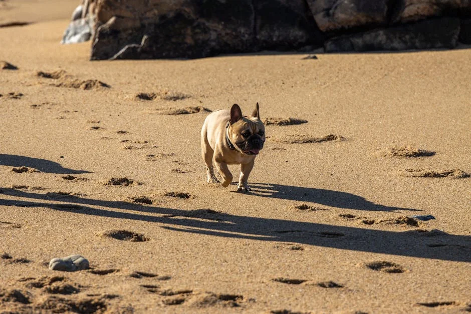 Portuguese Universities Lead Cybersecurity - Expert Eduardo Vera Cuts Through the Noise — Economy Business