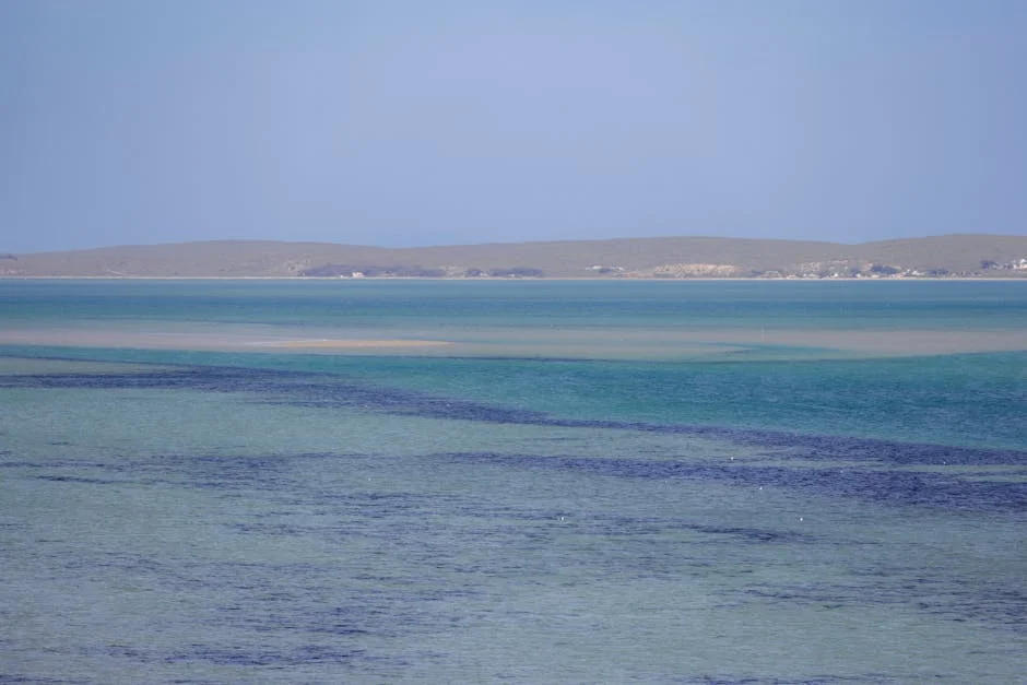 Rensburg Enters Miss South Africa — Economic Implications Explored — Economy Business