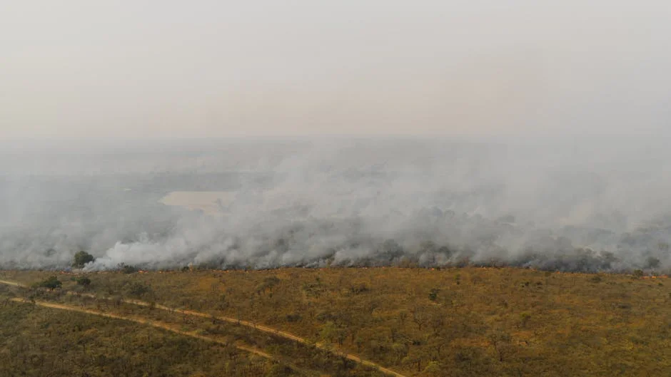 Researchers Warn Hunger Crisis Will Worsen in West and Central Africa: Urgent Action Needed — Economy Business