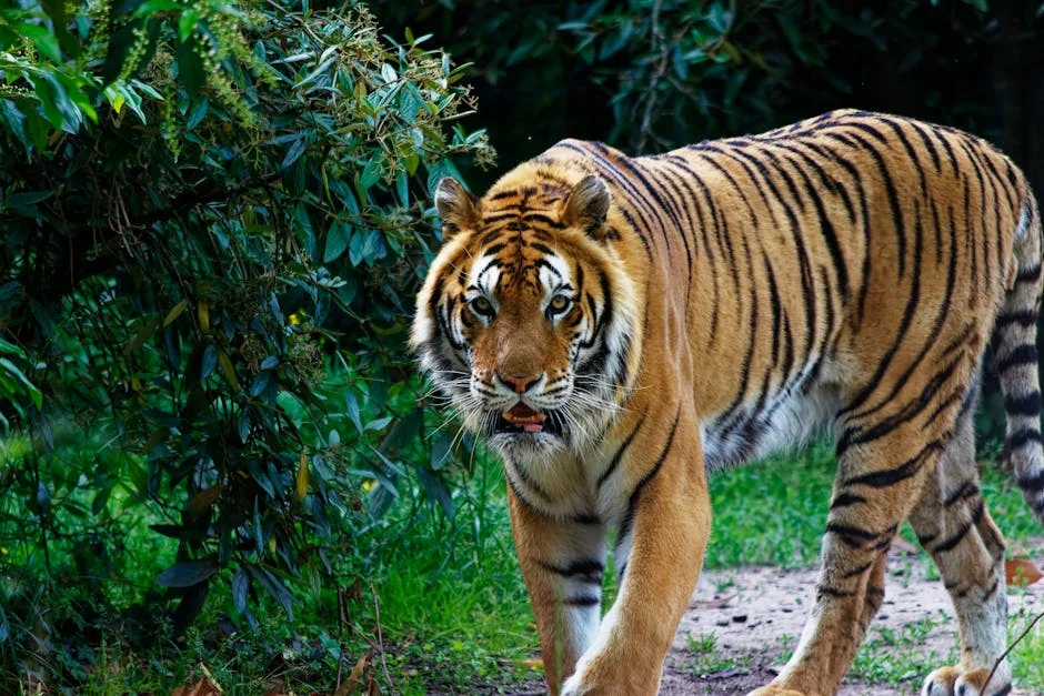 Revealed: South Africa's Corruption Crisis Unveils Xi's Tigers and Flies — Economy Business