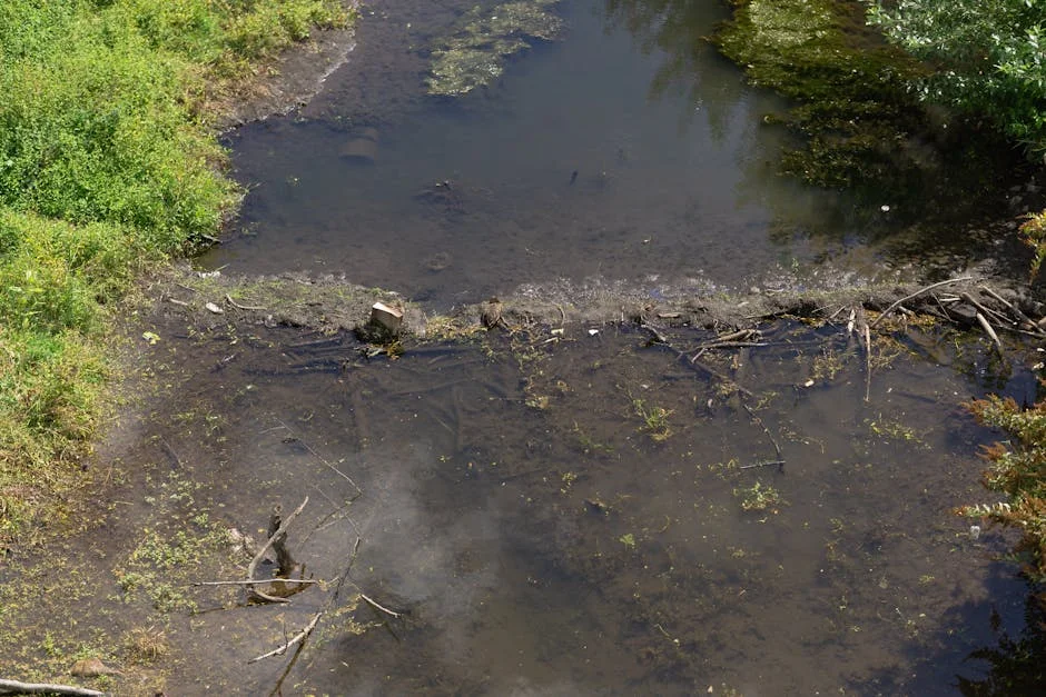 River Lugg Pollution Crisis Hits UK Markets and Property Values — Environment Nature