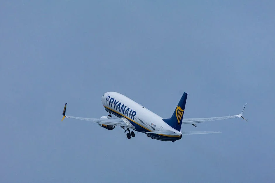 Ryanair Warns of Airline Collapse if Jet Fuel Prices Stay High — Economy Business