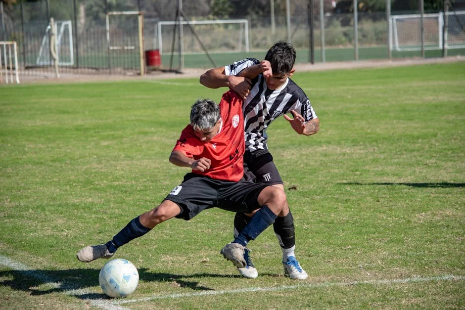 Santos Presidente Mourns Loss of Maria Emília Brederode dos Santos — Economy Business