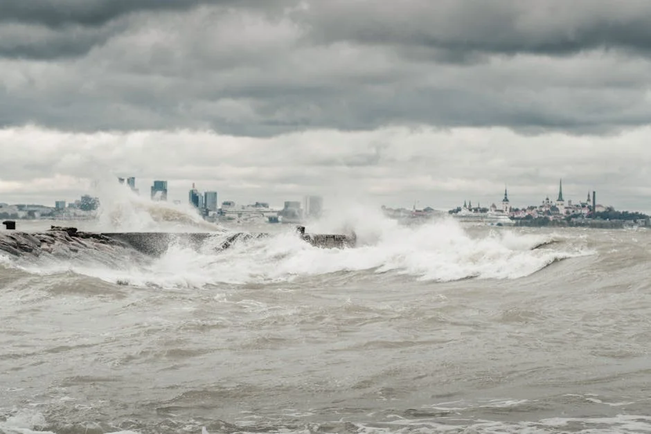 Seguro Vows to Monitor Reconstruction in Storm-Affected Areas — Economy Business