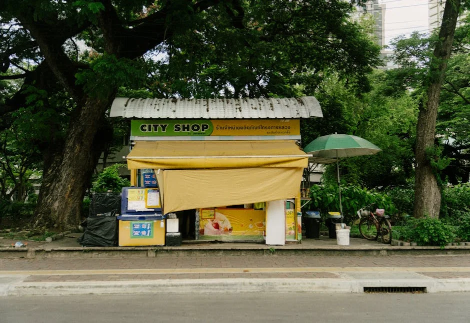 Sellfy Launches in South Africa — and E-commerce Growth Surges — Economy Business