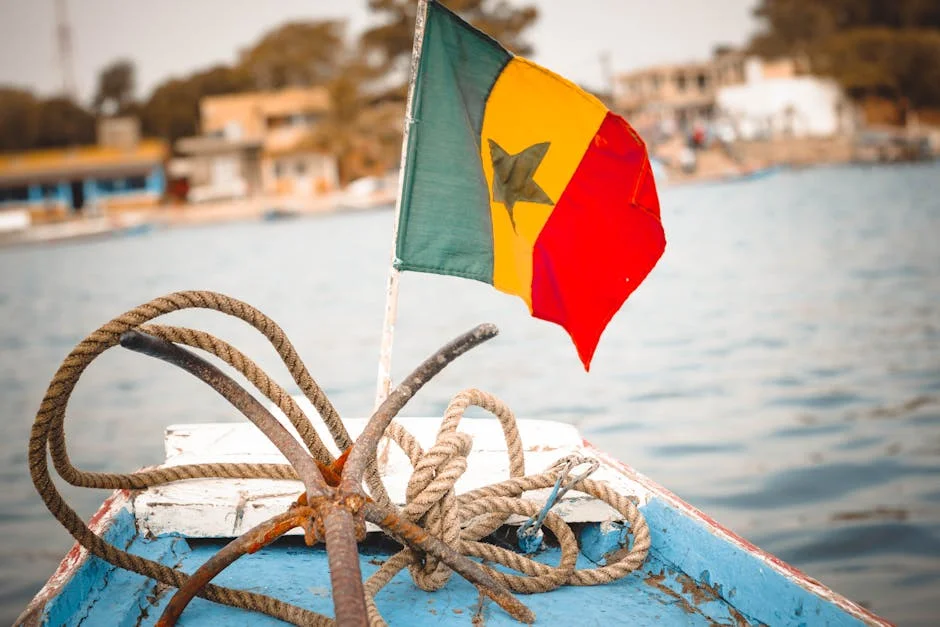 Senegal Tightens Anti-Gay Laws, Rights Groups Alarmed — Economy Business