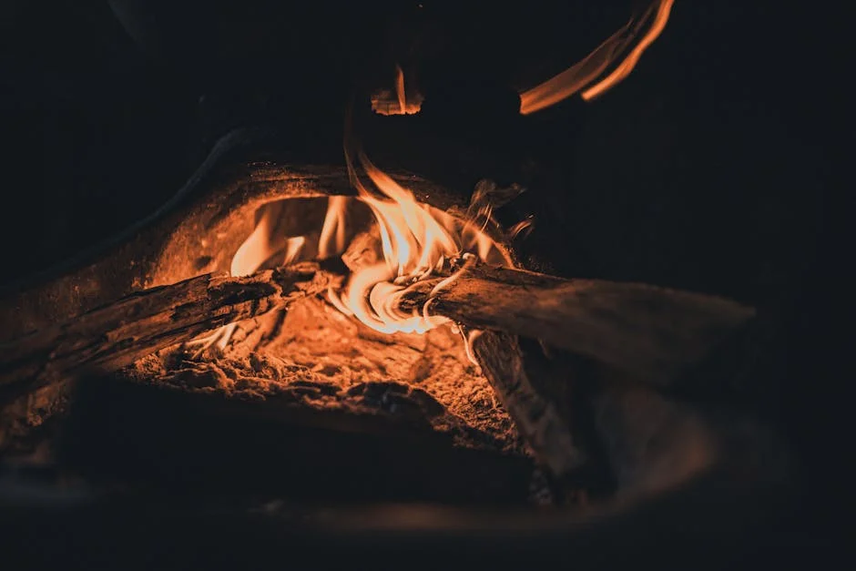 Shenzhen Factory Fire Disrupts BYD Test Vehicle Garage — Economy Business