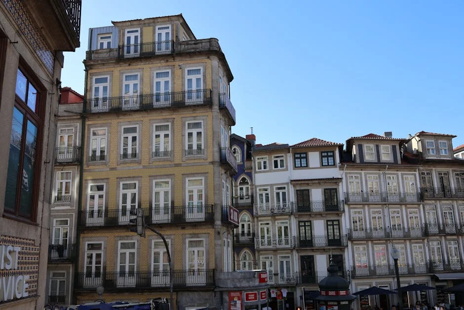 Silveira Returns to Central Lisboa: What This Means for South African Development — Economy Business