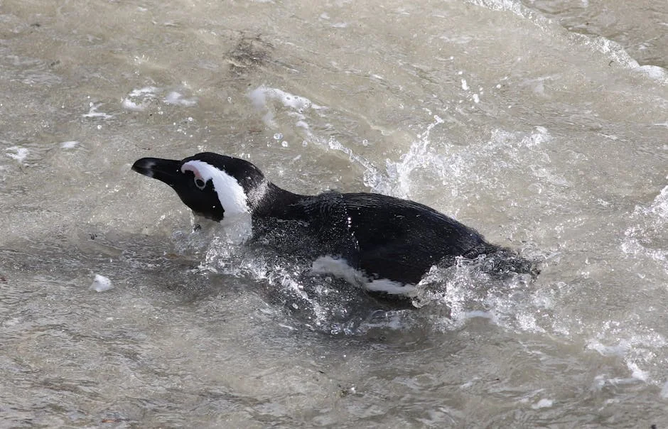 Simon Stiell Reveals Climate Cooperation as Key to Africa's Development Goals: Here's Why — Economy Business