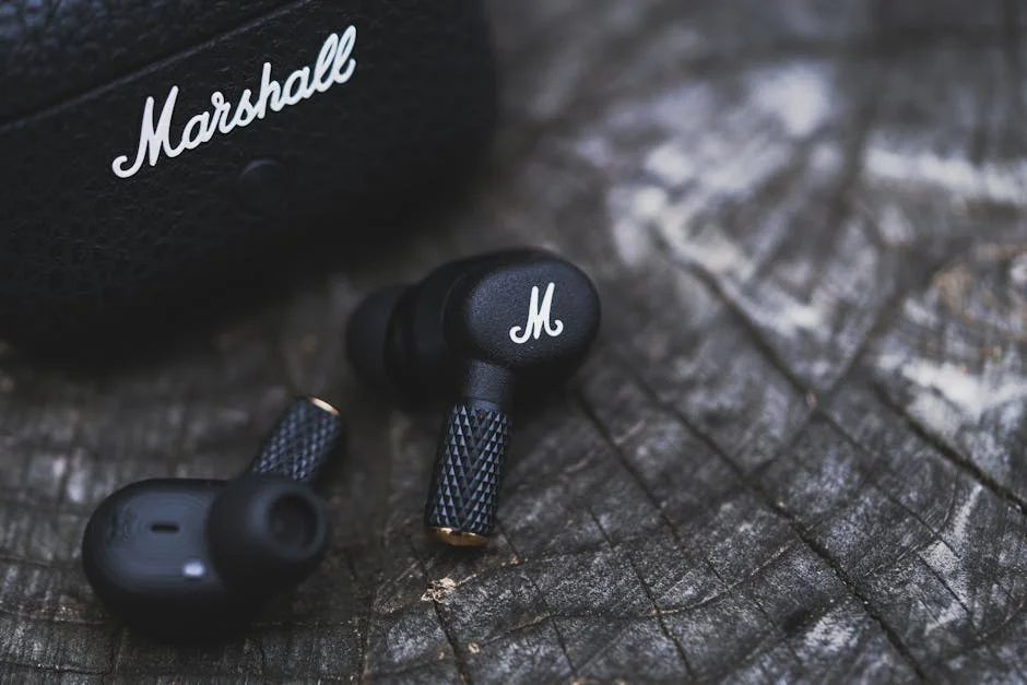 Singer Cancels Valencia Concert Due to Fallas Noise - "In Catatonic State" — Economy Business