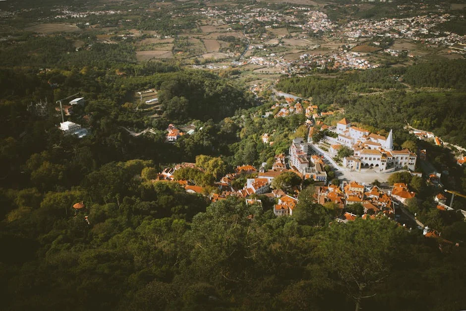 Sintra Debts Denial Shakes Portugal’s Education Sector