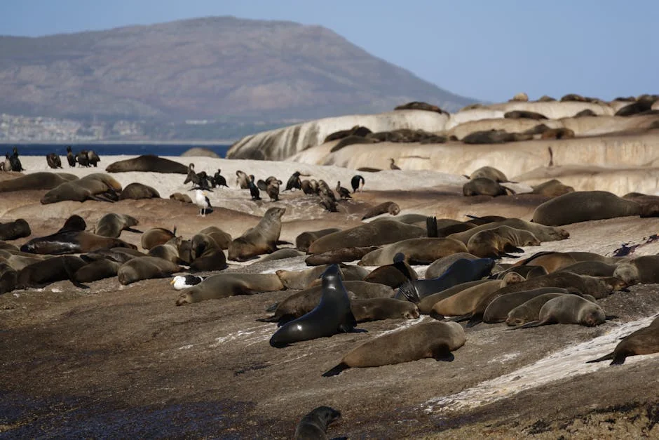 South Africa Cracks Down on Illegal Hunting — 133 Arrested in 6 Months — Economy Business