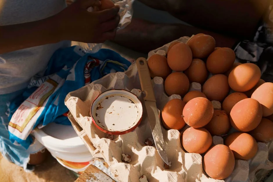 South Africa Exposes Immigration Crisis — 90% of Repatriated Ghanaians Lack Valid Papers — Agriculture Food