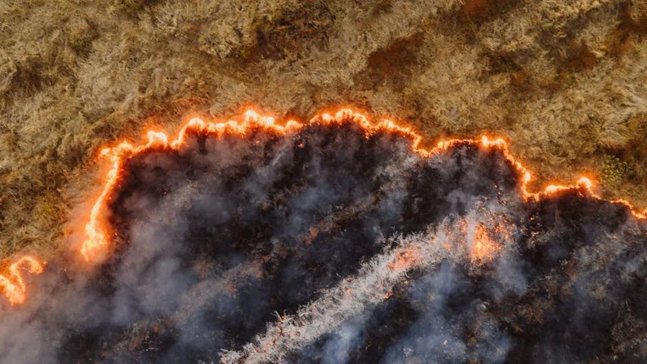 South Africa Reveals Water Crisis — 30% of Population Lack Clean Supply — Health Medicine