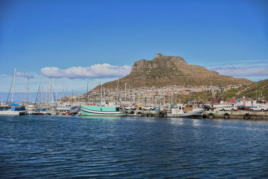 South Africa Rules on Retirement Death Benefits — Girlfriends May Now Qualify — Agriculture Food