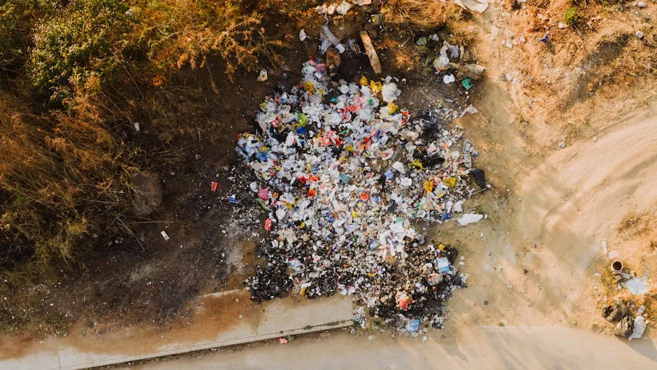 South Africa Unveils Hammarsdale Waste Centre: Transforming Waste into Economic Growth — Economy Business