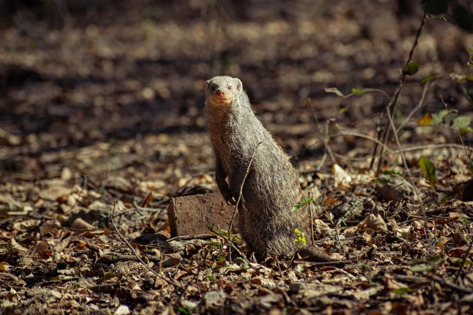 South Africa Warns Parents to Return Baby Formula Amid Toxic Fears: Major Health Alert — Economy Business
