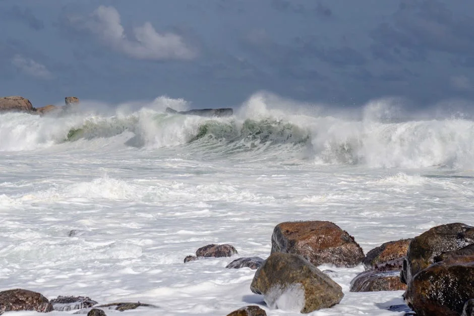 South African Weather Service Warns of Fog and Storms on Wednesday — Economy Business