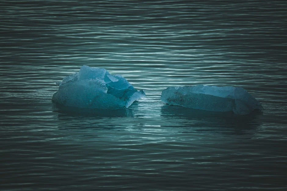 South Africa's Antarctic Fuel Crisis Triggers Economic Ripple Effects — Environment Nature
